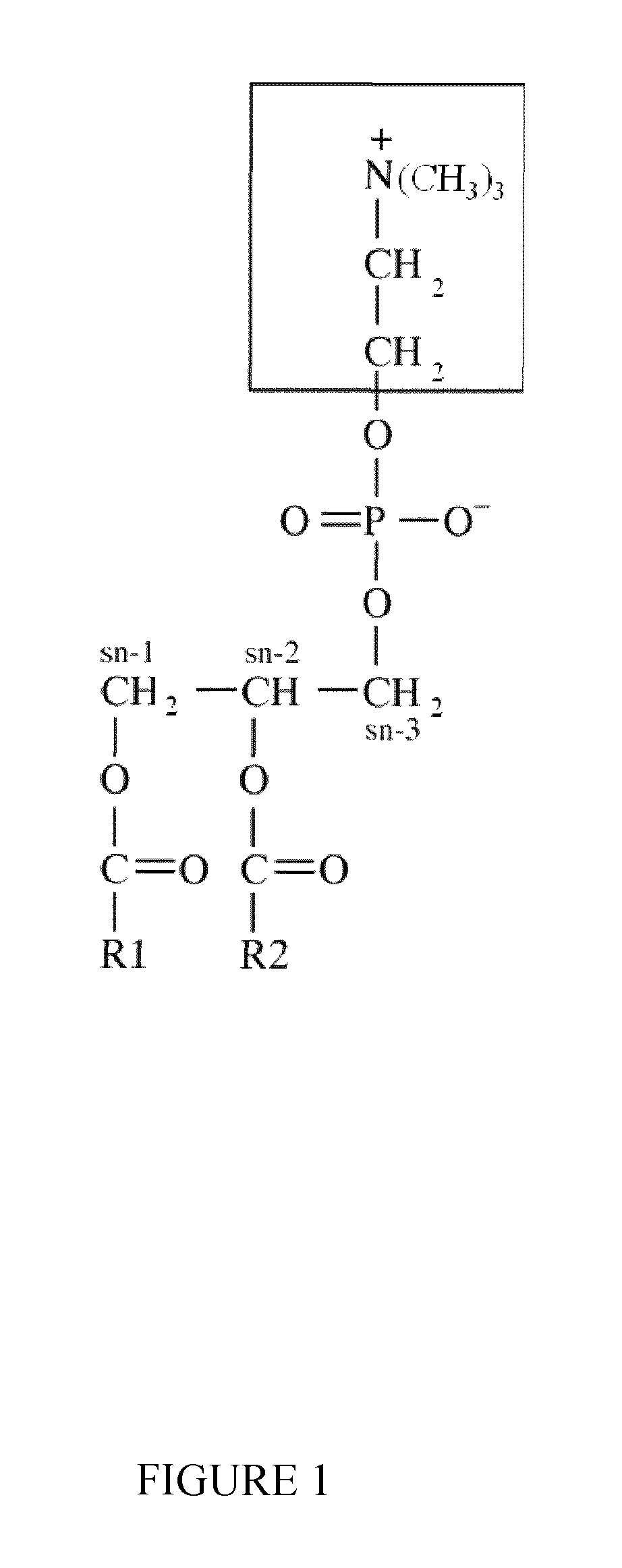 Nanoparticles delivery systems, preparation and uses thereof