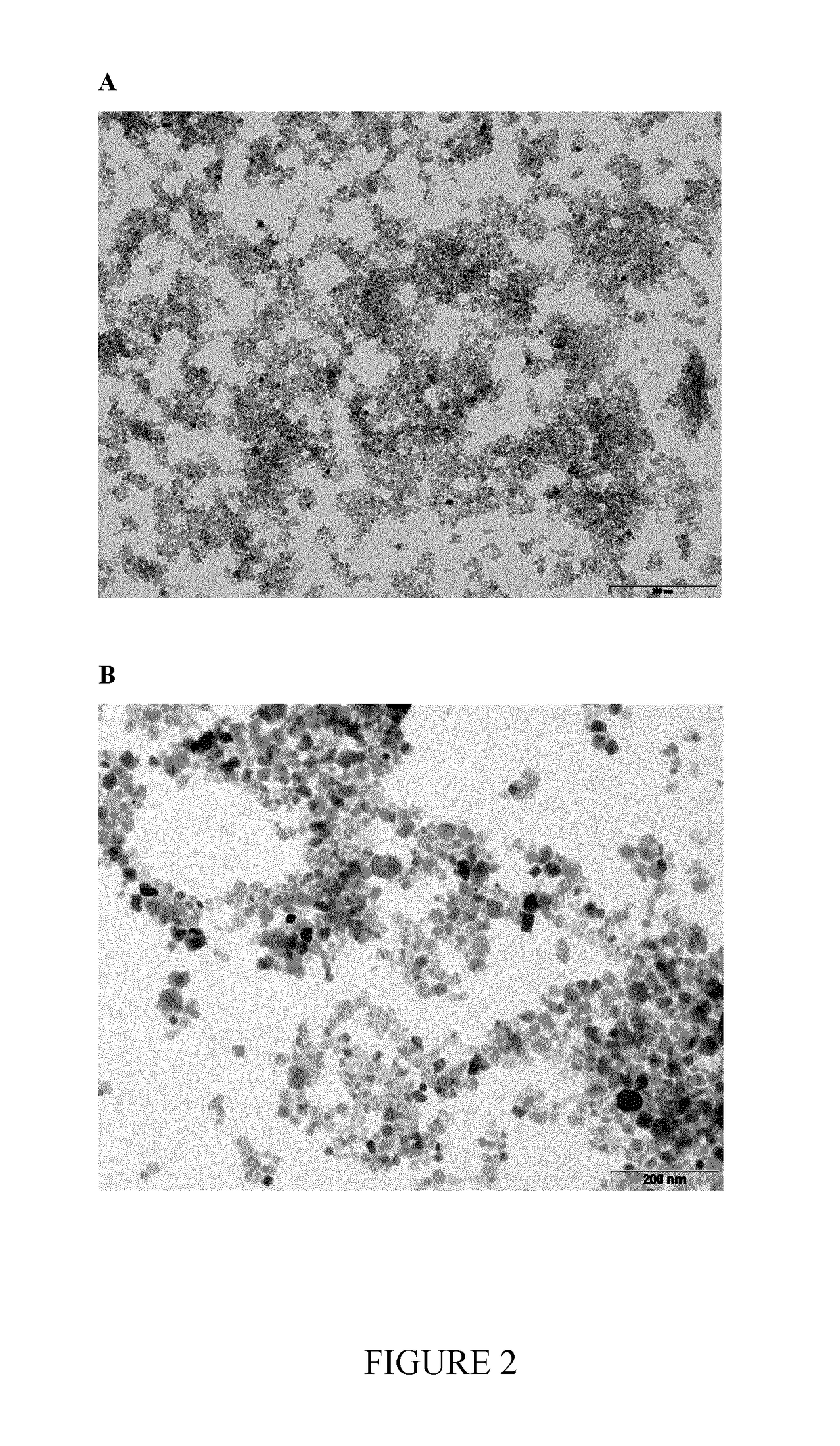 Nanoparticles delivery systems, preparation and uses thereof
