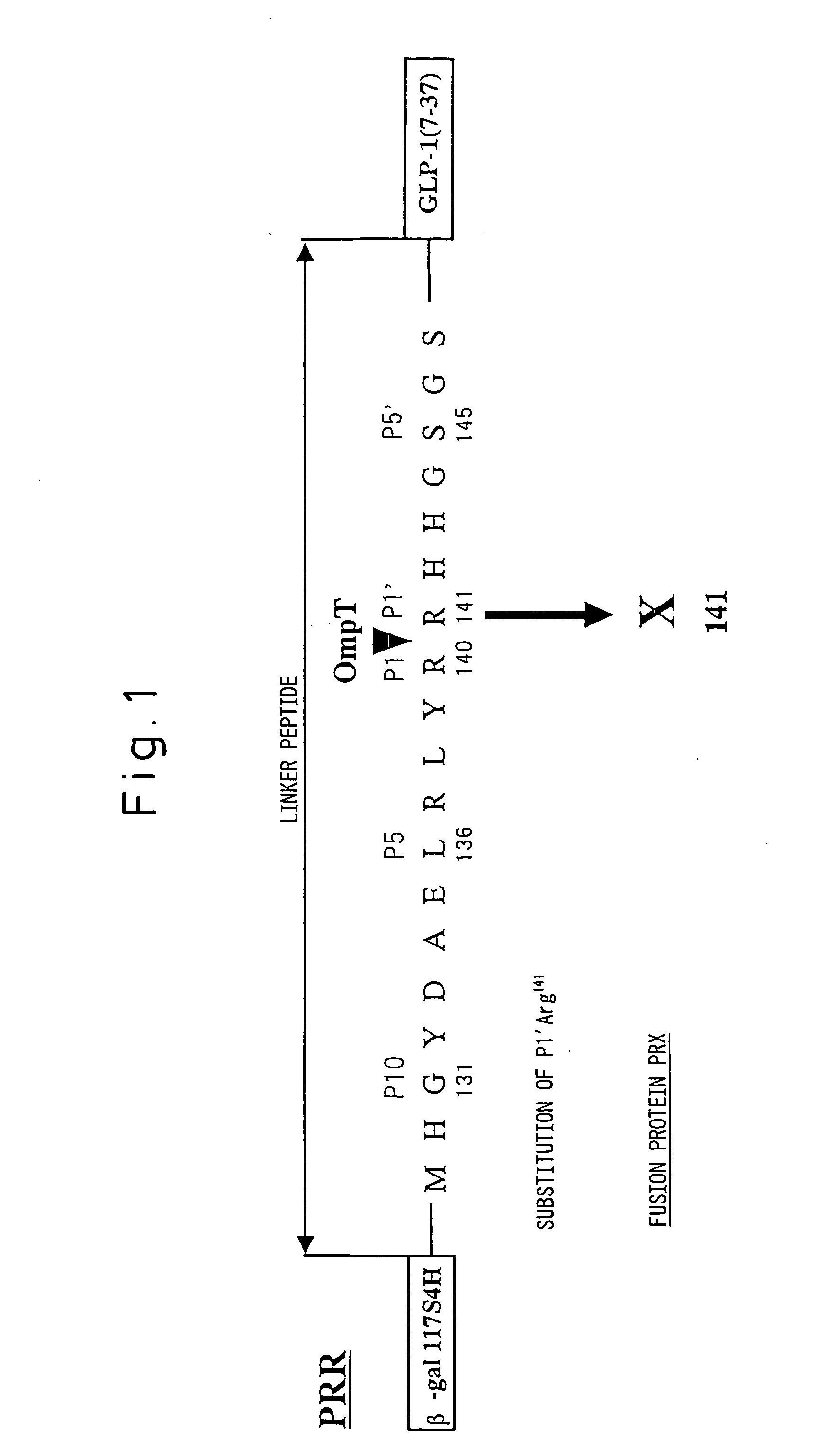 Polypeptide cleavage method using ompt protease variant