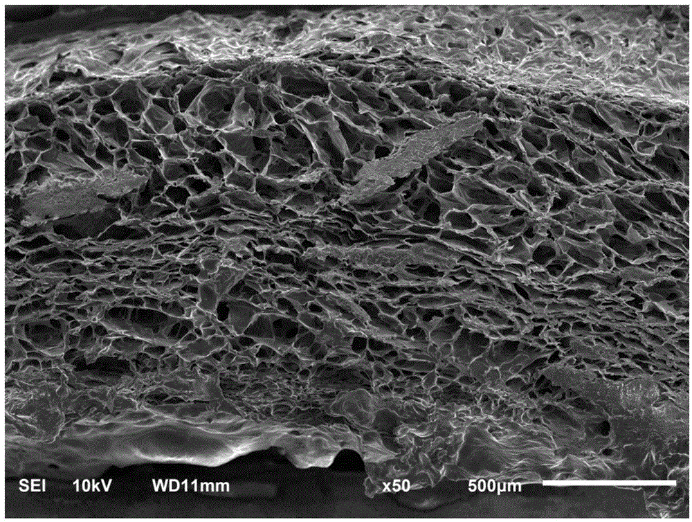 Preparation method for aromatic and bacteriostatic chitosan-based wound dressing