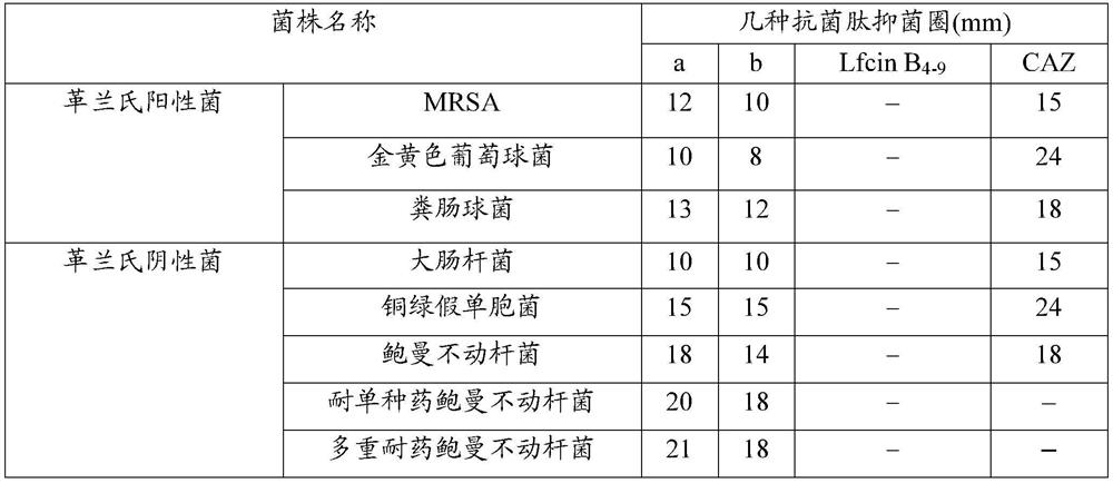 Antibacterial pentapeptide derivatives and their applications