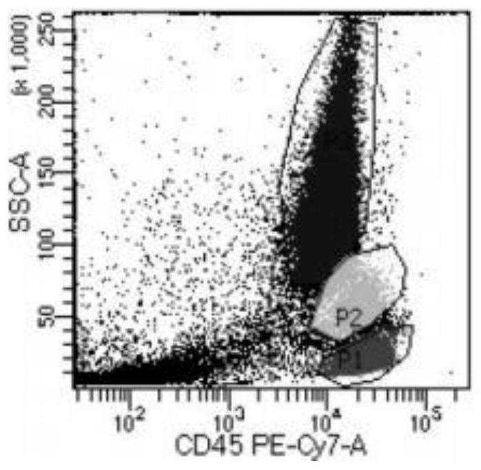 Index combination, kit and method for evaluating human immune function