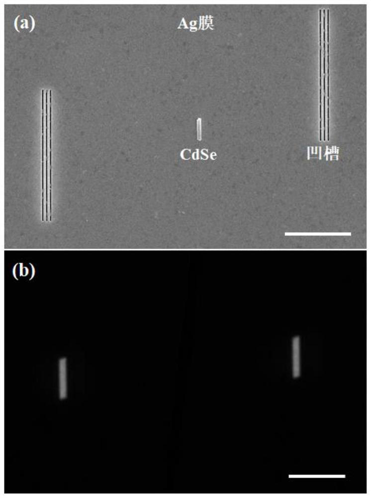 A metal-semiconductor composite structure, spps excitation method and preparation method