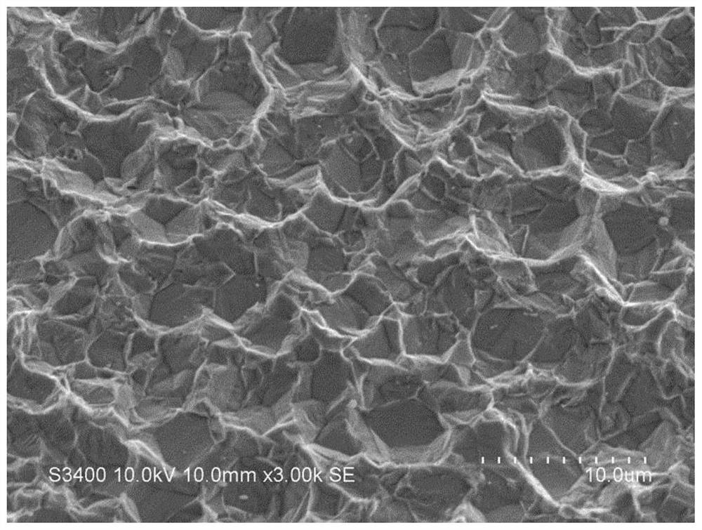 Aqueous composition, method for roughening stainless steel surface in which same is used, roughened stainless steel, and method for manufacturing same