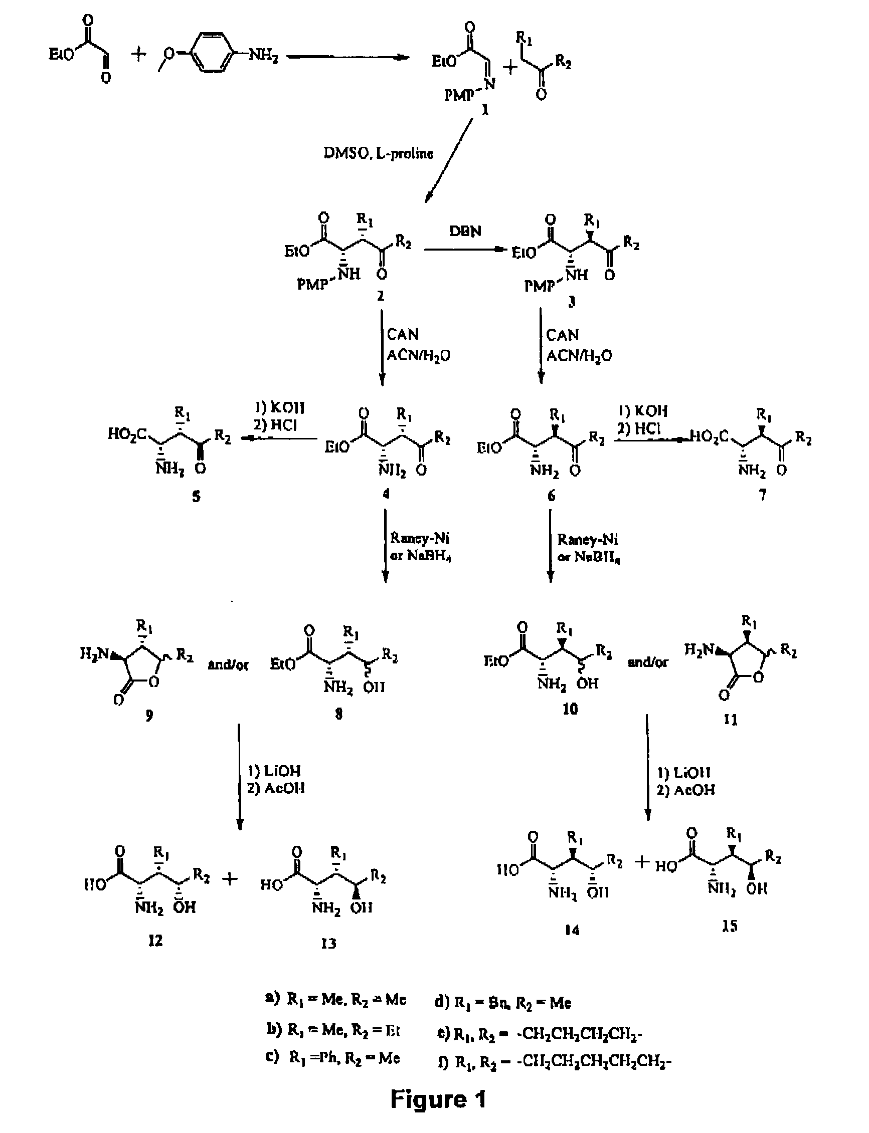 Compounds and Compositions for Use in the Prevention and Treatment of Disorders of Fat Metabolism and Obesity