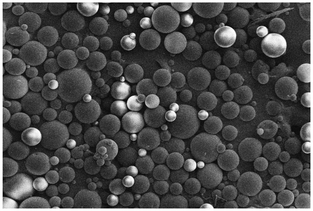 Medicine for treating degenerative arthritis and preparation method thereof