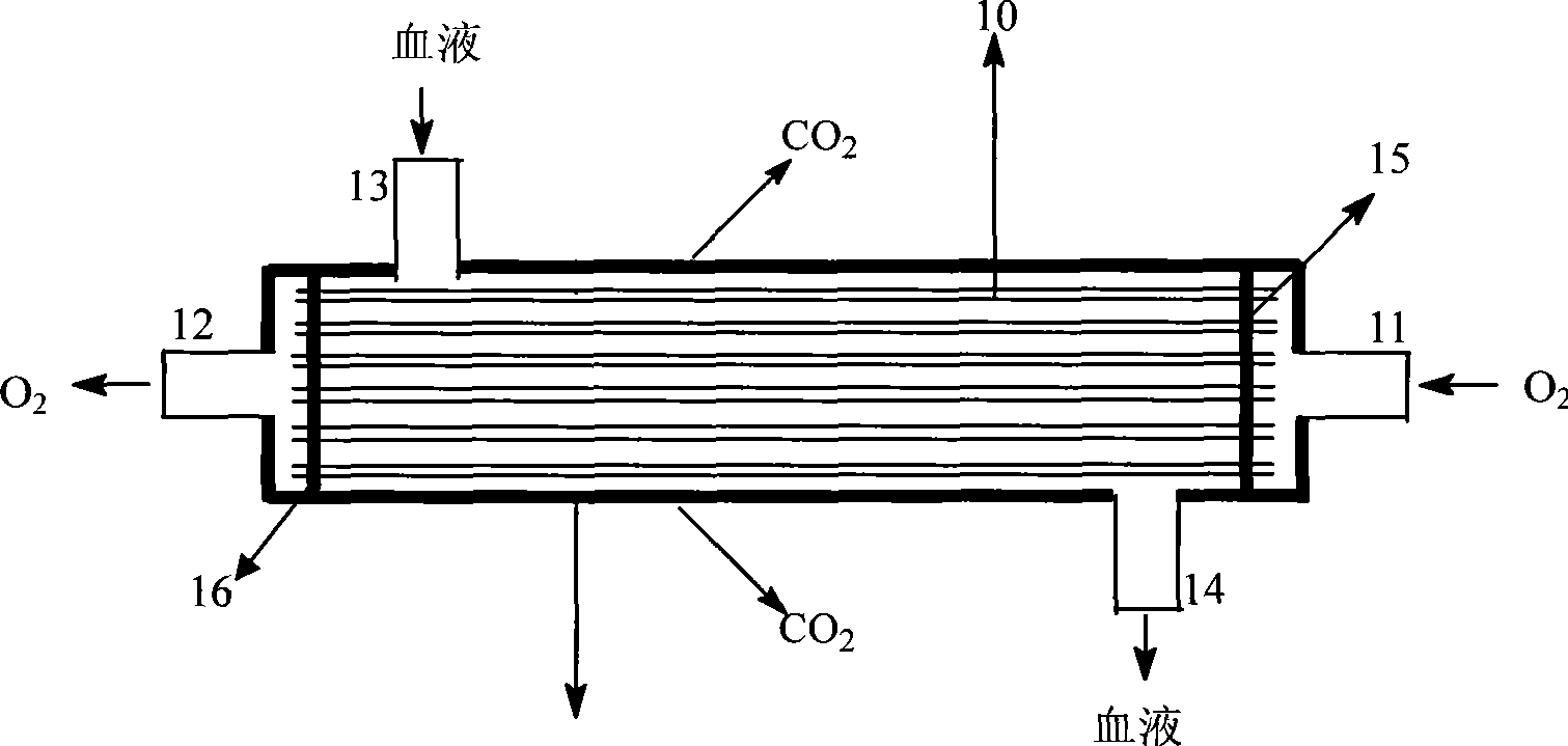Double-channel hollow fiber film type artificial lung and manufacture method thereof