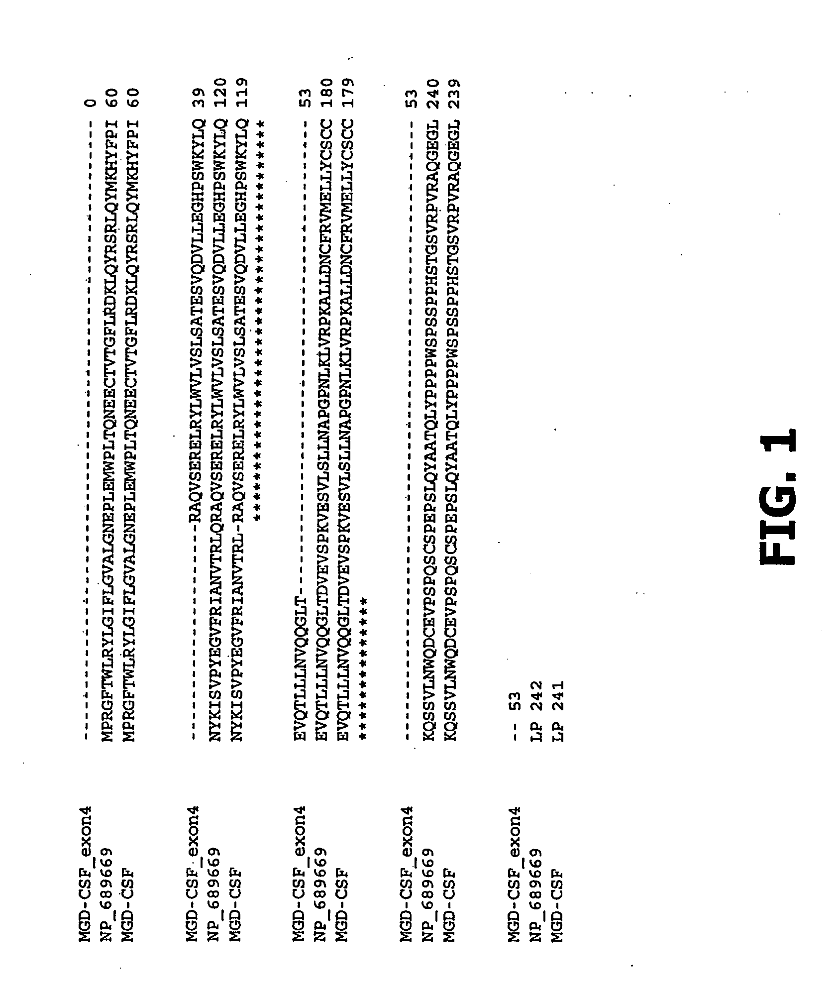 Compositions and methods of use for mgd-csf in disease treatment