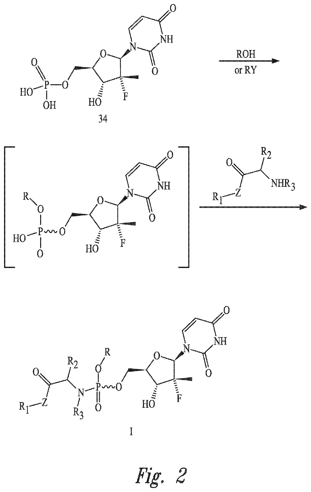 Uridine phosphoramide prodrug, preparation method therefor, and medicinal uses thereof