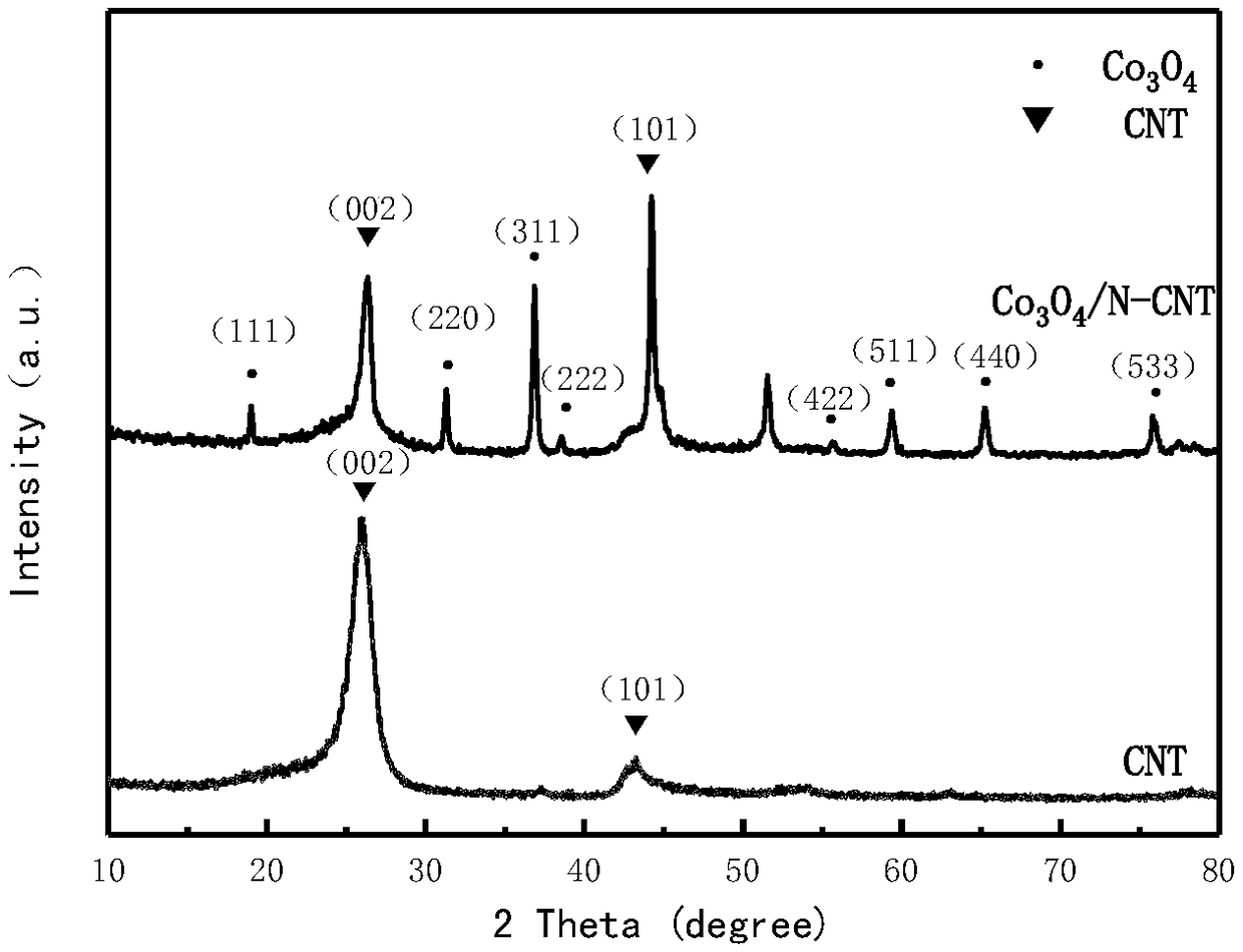 Cobalt oxide/nitrogen co-doped carbon nanotube composite material and preparation and application thereof