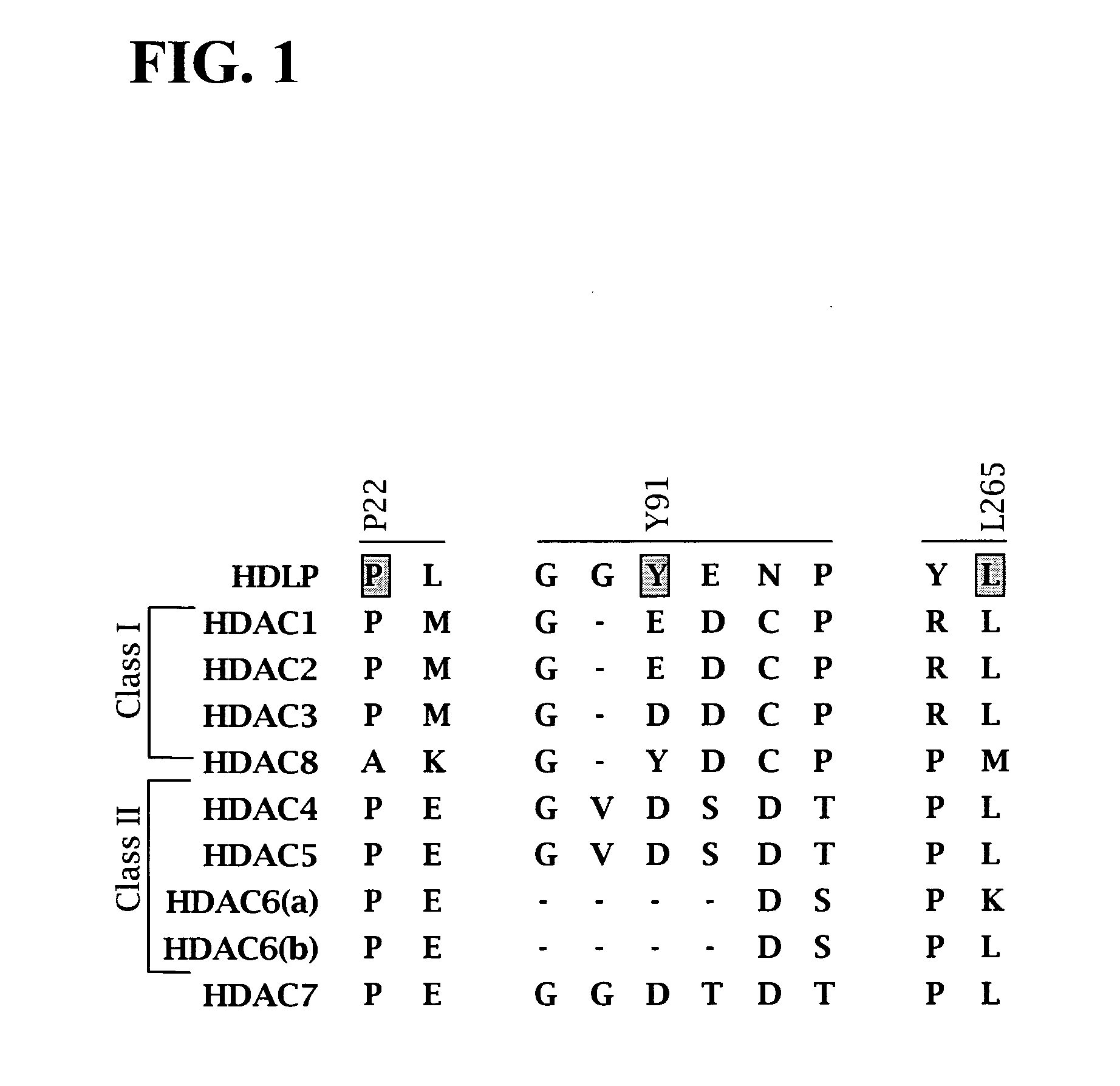 Dioxanes and uses thereof