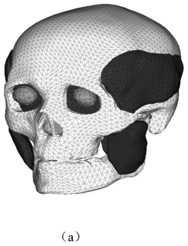 Human maxillofacial region explosion injury simulation and biomechanical simulation method, system and medium