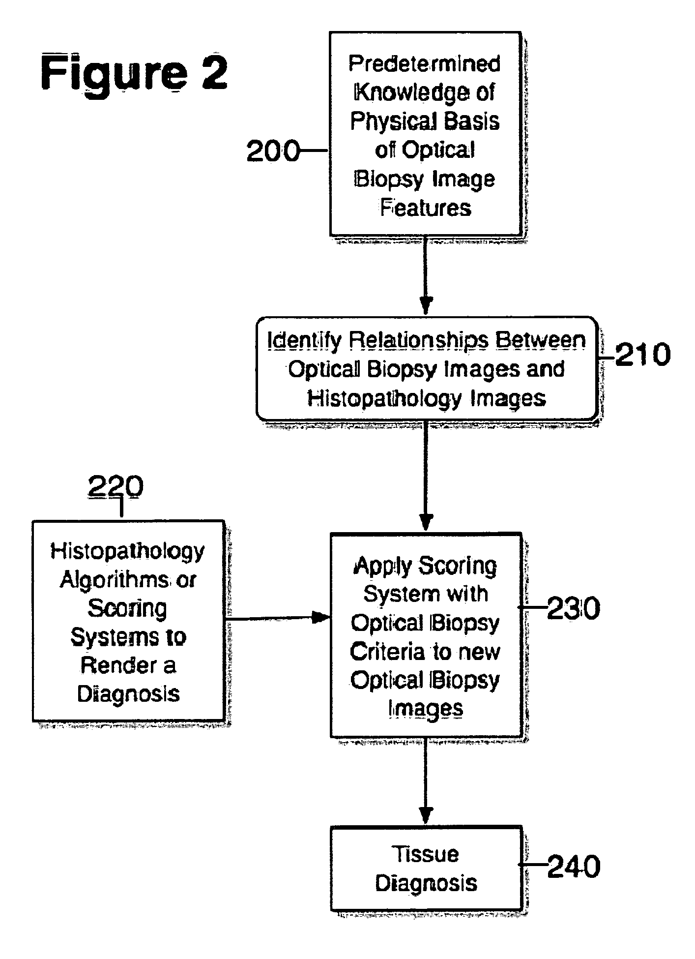 Systems. processes and software arrangements for evaluating information associated with an anatomical structure by an optical coherence ranging technique
