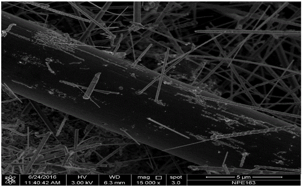Preparation method of in-situ growth silicon carbide nanowire-reinforced porous carbon composite