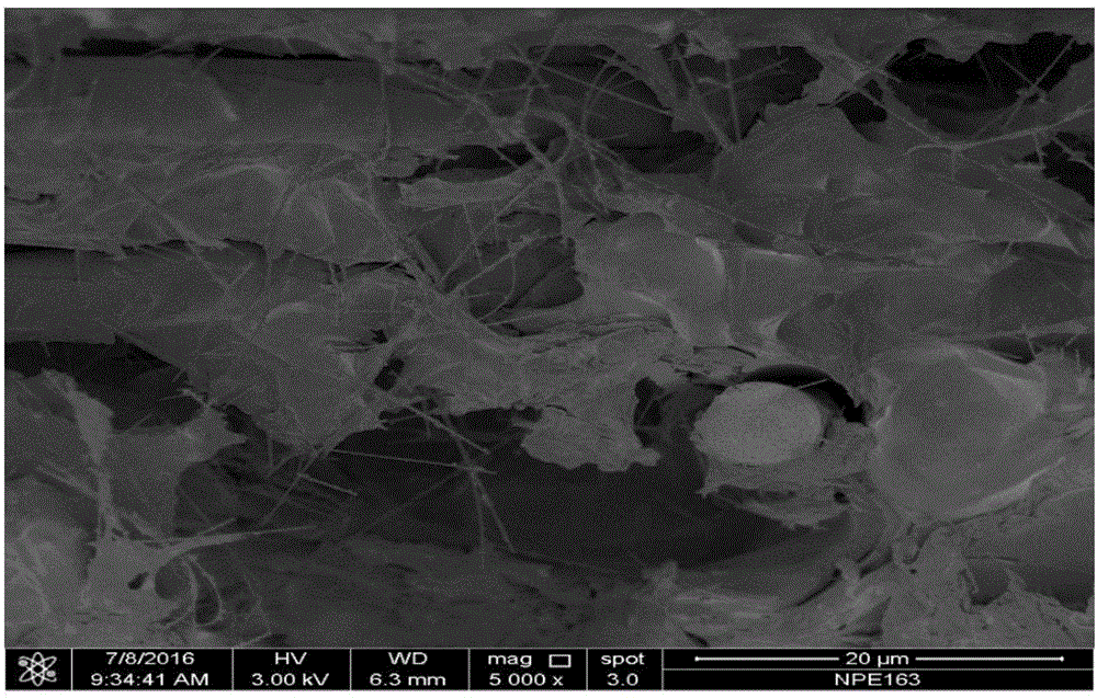 Preparation method of in-situ growth silicon carbide nanowire-reinforced porous carbon composite