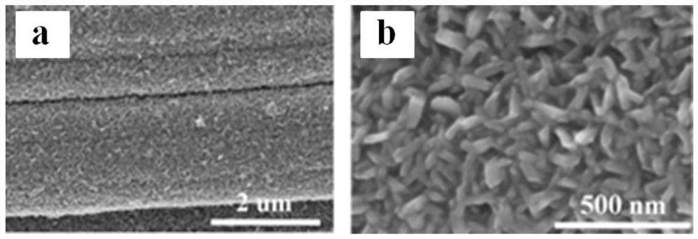 Ultra-small cobalt sulfide nanosheet/carbon cloth composite material and preparation method thereof