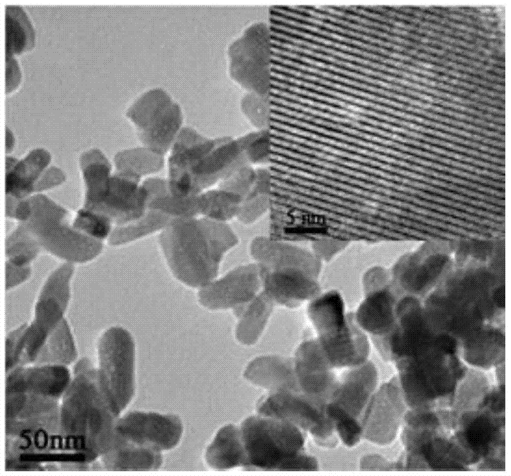 A preparation method of mesoporous apatite nano drug carrier with pH responsive core-shell structure