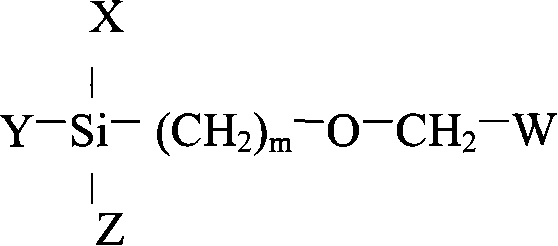 Functional liquid coating used for magnesium aluminium alloy base material