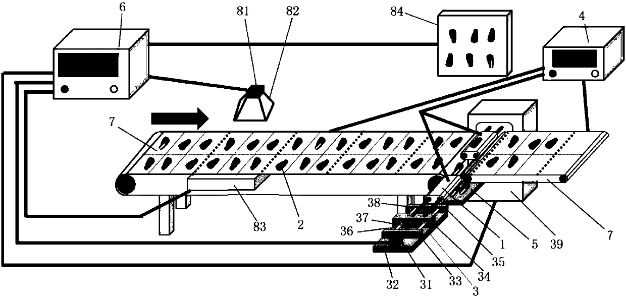 Extraction type rejection device for being matched with conveying device