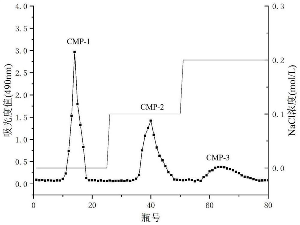 High-molecular weight Cordyceps militaris polysaccharide, its preparation method and its application in the preparation of anti-complement drugs
