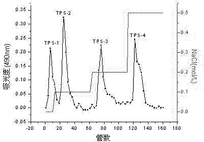Method for preparing green tea polysaccharide through separation and purification and application of polysaccharide