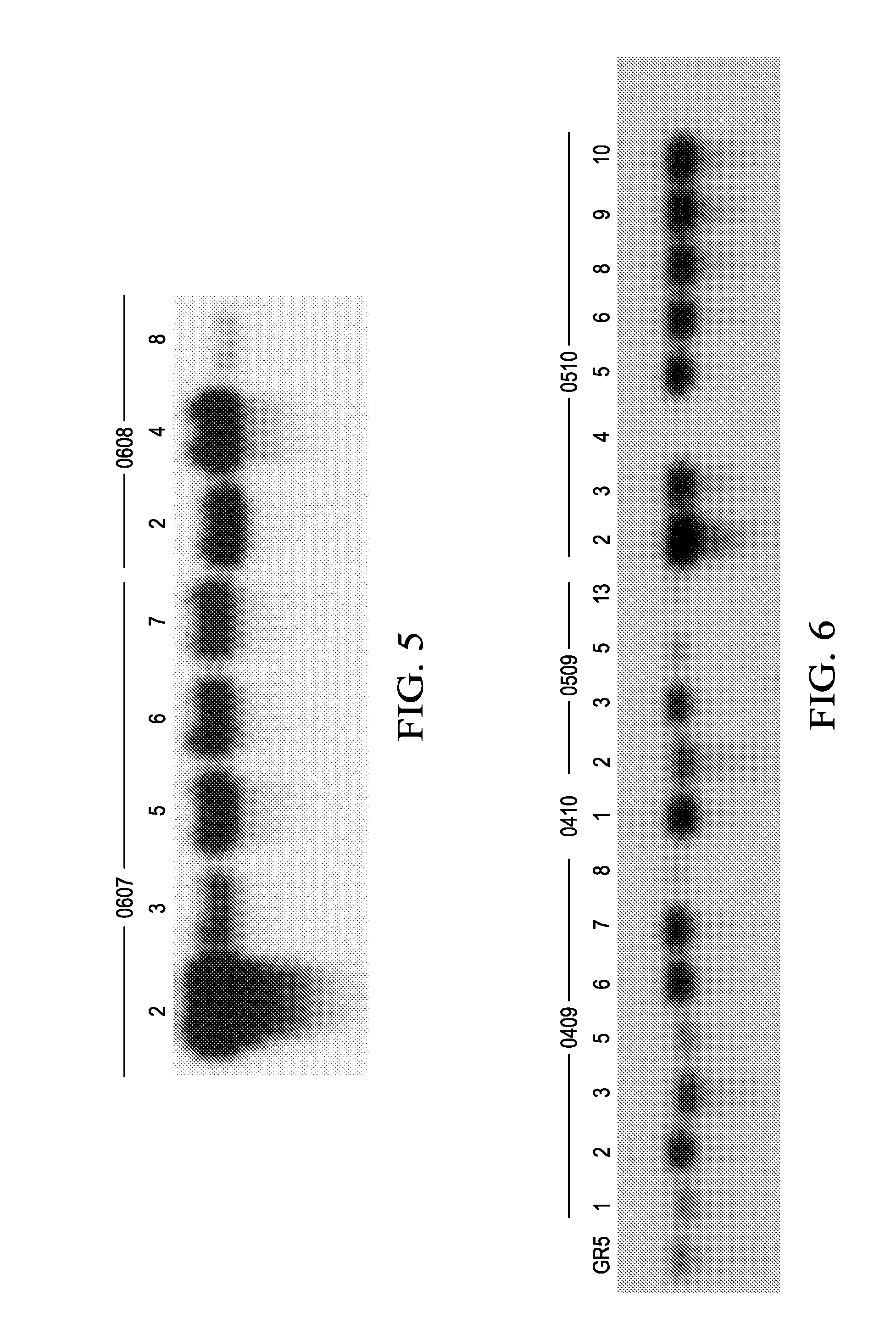 Pathogen resistant citrus compositions, organisms, systems, and methods