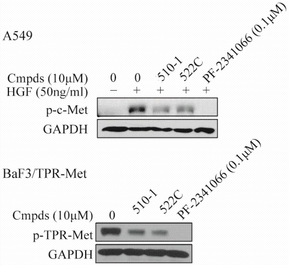 A class of dicoumarins and preparation method and use thereof