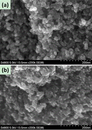 Carbon quantum dot sensitized solar cell prepared in situ