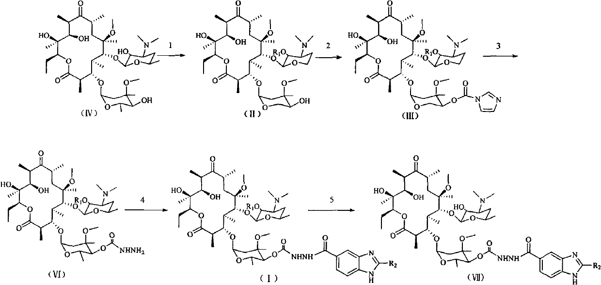 4''-benzimidazole-5-formacyl-ester carbazate clarithomycin derivative and midbody
