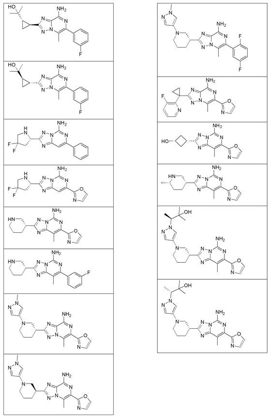 Substituted amino triazolopyrimidine and amino triazolopyrazine adenosine receptor antagonists, pharmaceutical compositions and their use