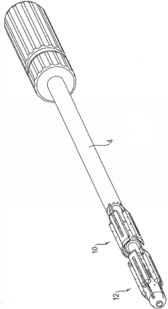 Width-adjustable cutting instrument for transapical aortic valve resectioning