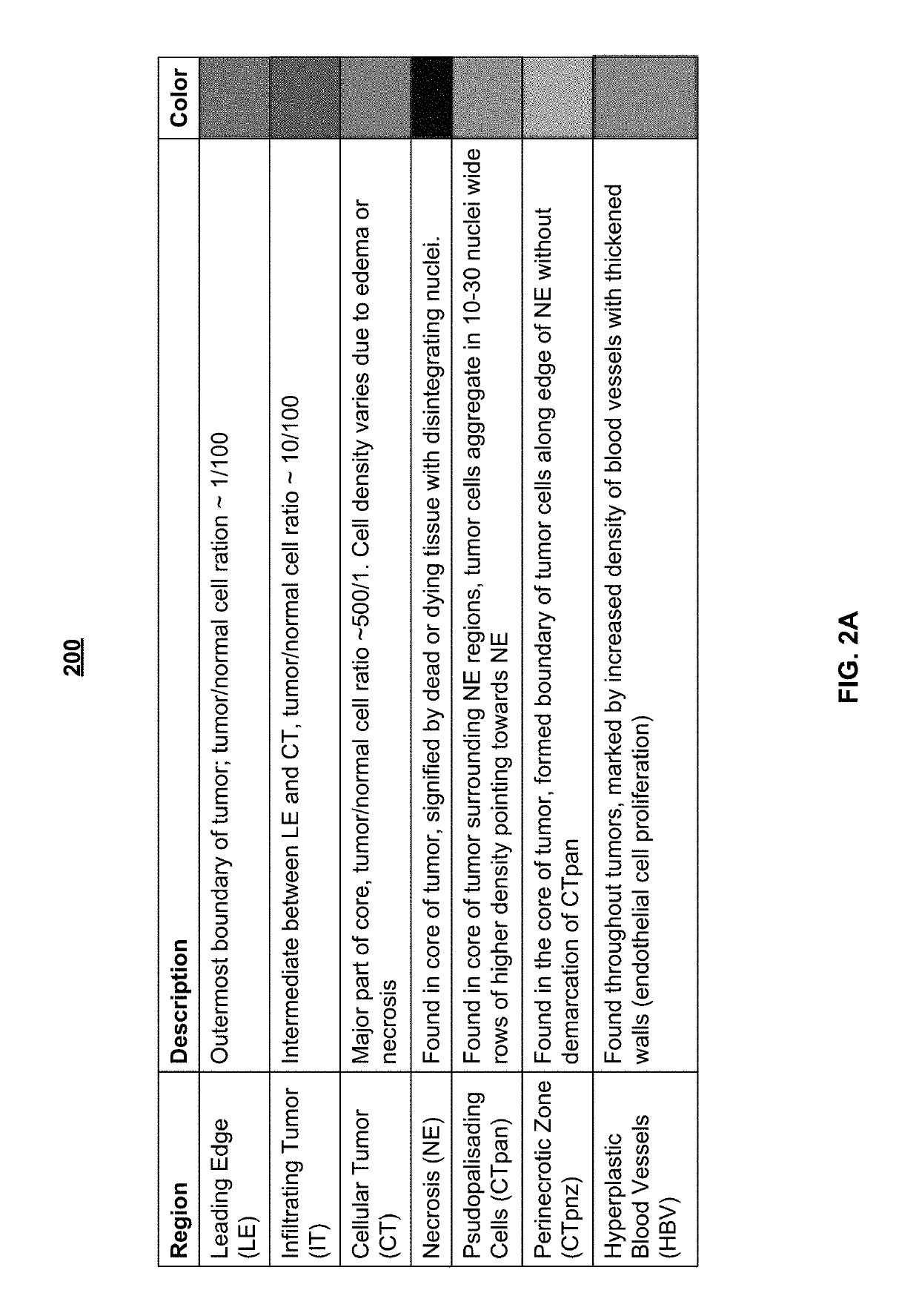 System and method for automatic assessment of cancer