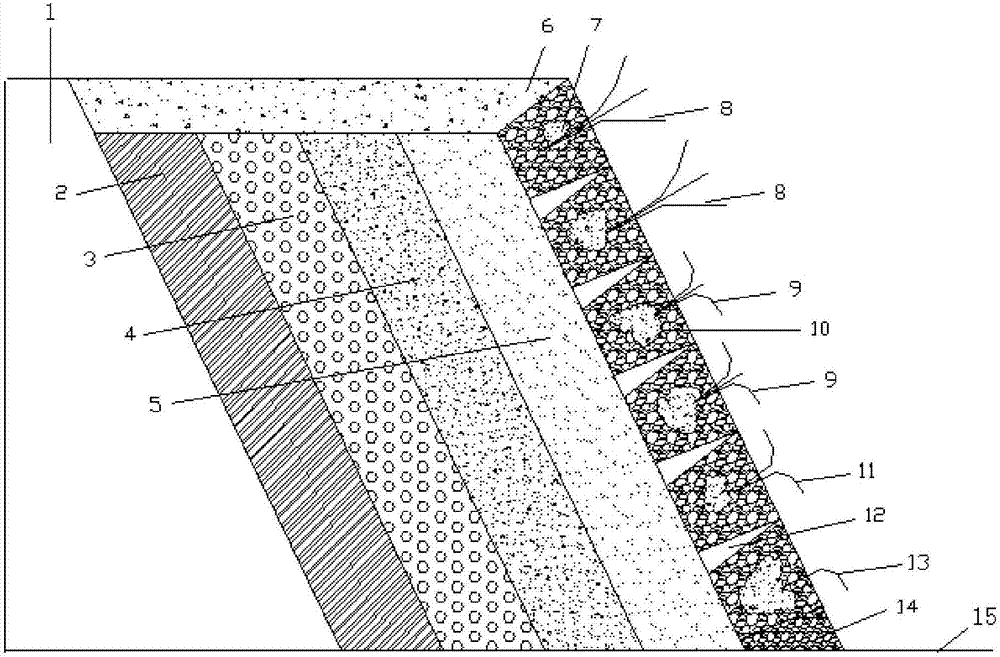 Ecological remediation system for river slope