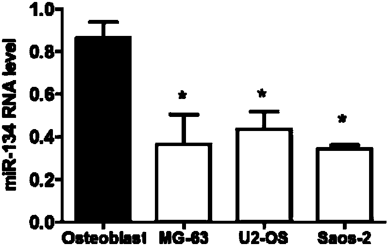 Application of miR-134 and accelerant thereof in preparing medicines for treating osteosarcoma