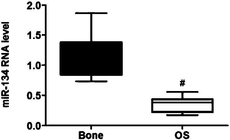 Application of miR-134 and accelerant thereof in preparing medicines for treating osteosarcoma