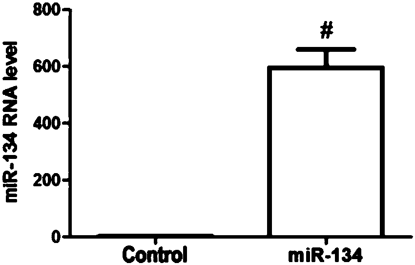 Application of miR-134 and accelerant thereof in preparing medicines for treating osteosarcoma