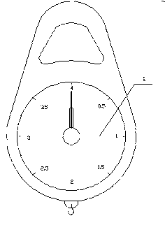 Miniature scale with calculating function for household basket