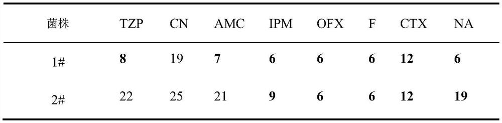 Application of citral in inhibiting the growth of multi-drug resistant Enterobacter hallii