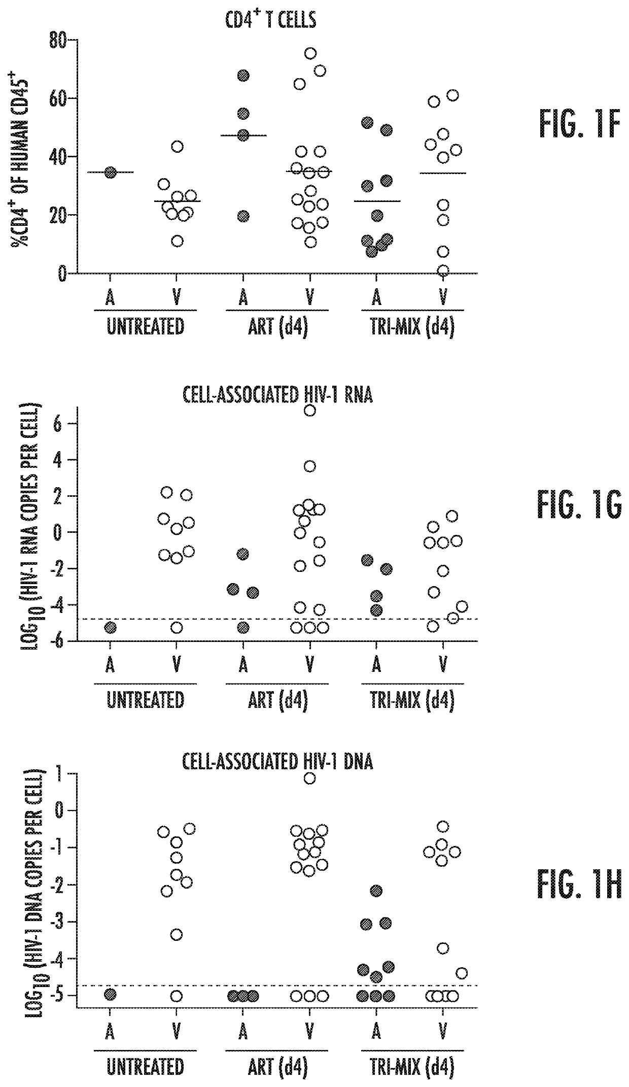 Combination of broadly neutralizing HIV antibodies and viral inducers