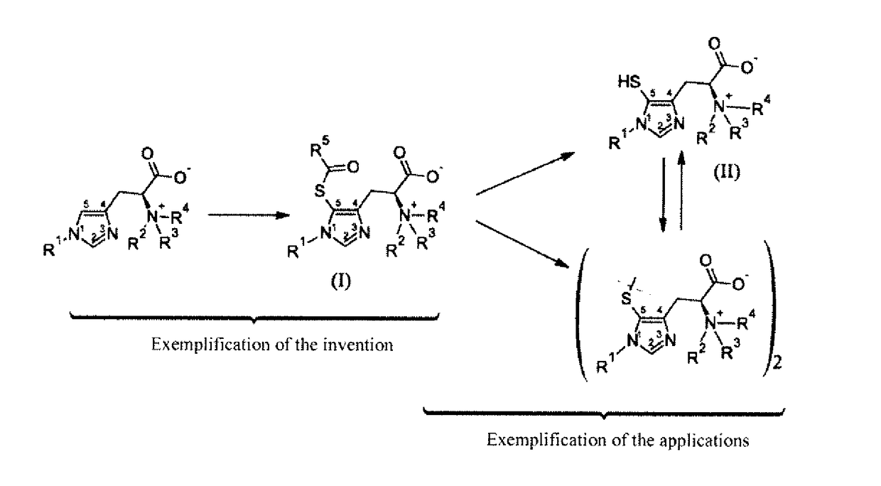 Novel 5-acylsulfanyl-histidine compounds as precursors of the corresponding 5-sulfanylhistidines and their disulfides