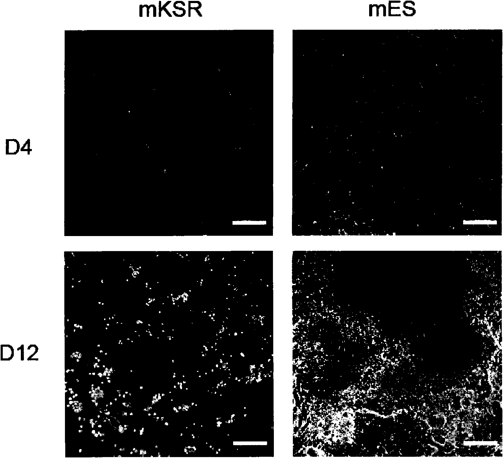 Novel serum-free culture medium for inducing fast and efficient production of pluripotent stem cells and use method thereof