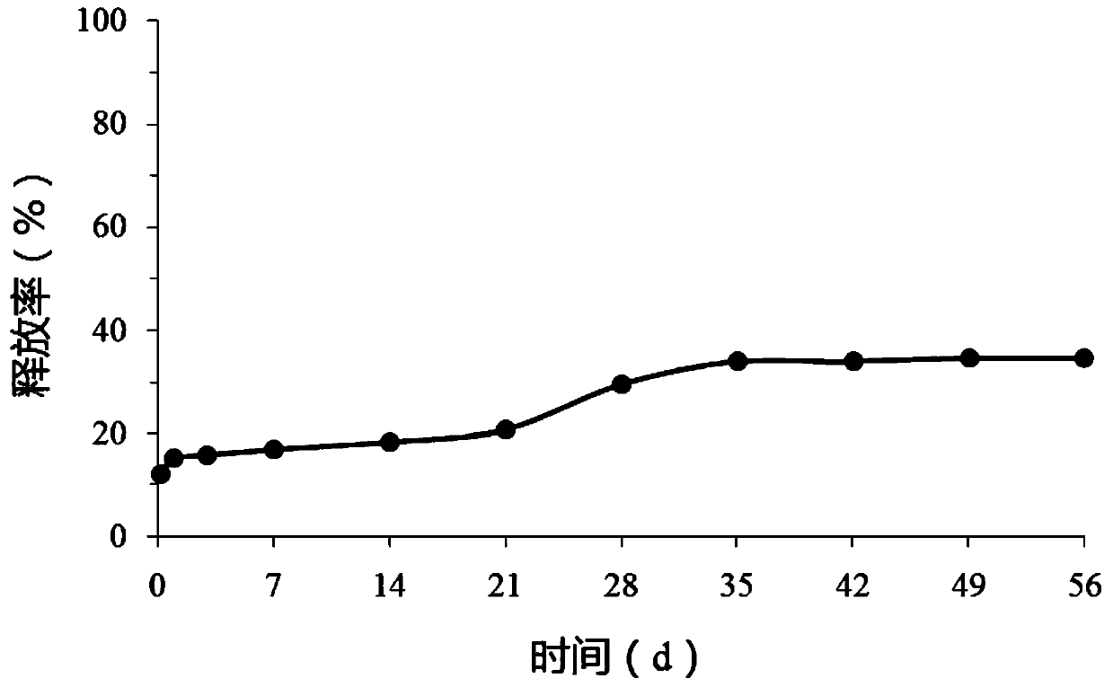 Polypeptide microsphere with effects of quick release and slow release and preparation method of polypeptide microsphere