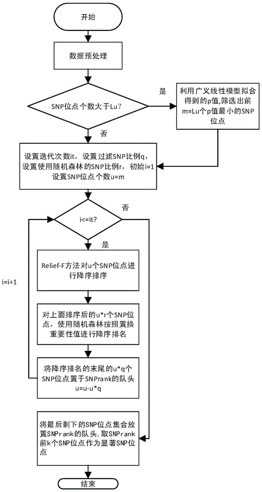 A Genome-Wide SNP Locus Analysis Method Combining Random Forest and Relief‑F