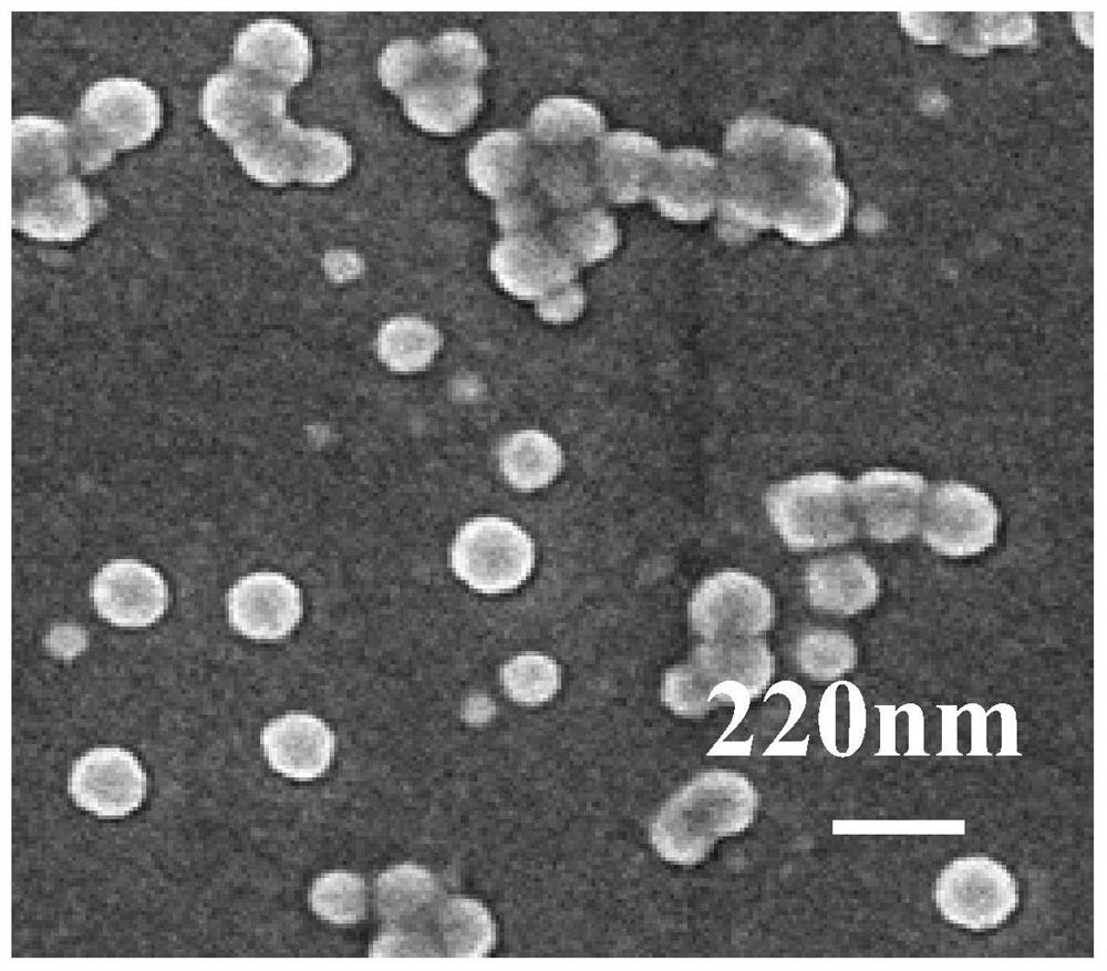 Application of VAV1 in preparation of medicine for treating central nervous system inflammation