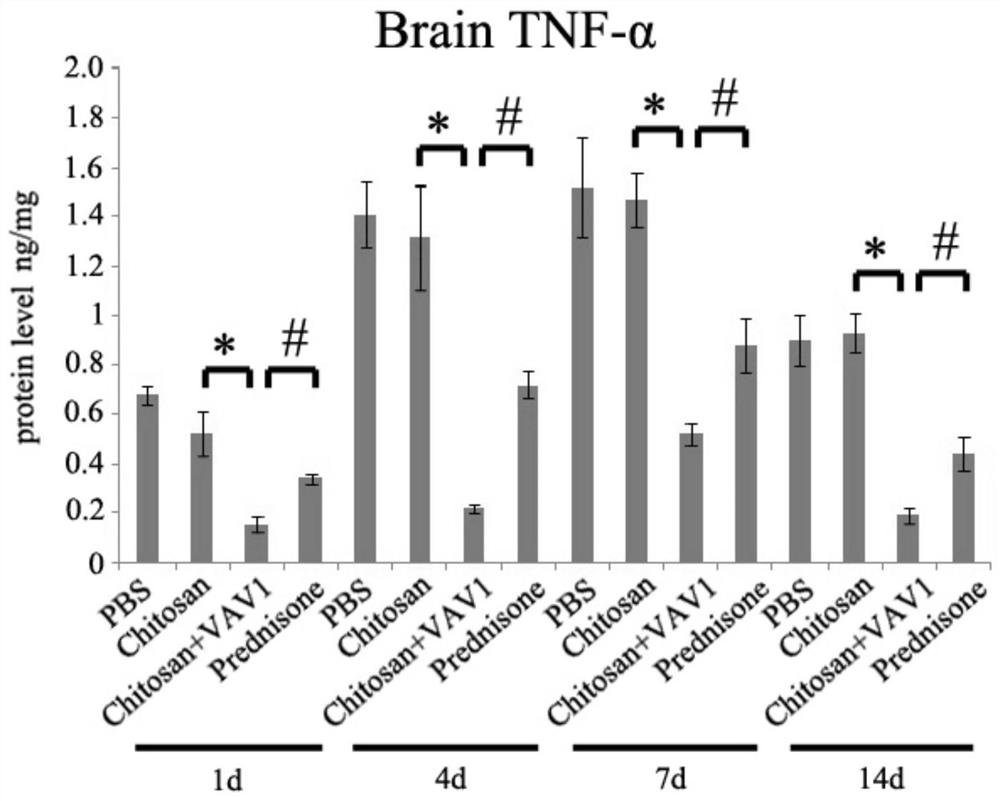 Application of VAV1 in preparation of medicine for treating central nervous system inflammation