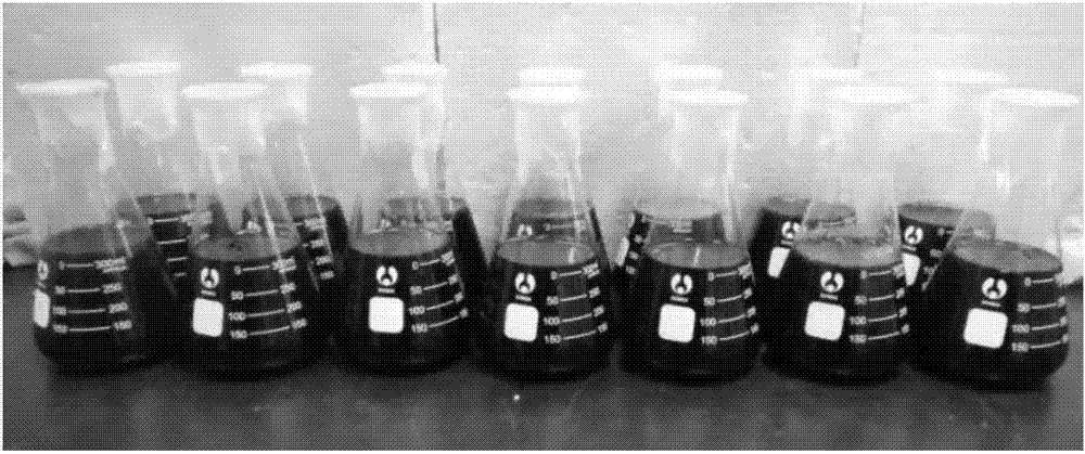 Microbial remediation method for cadmium-polluted bottom mud
