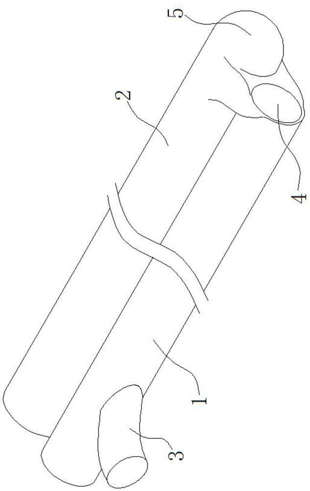 Endoscope sleeve and endoscope