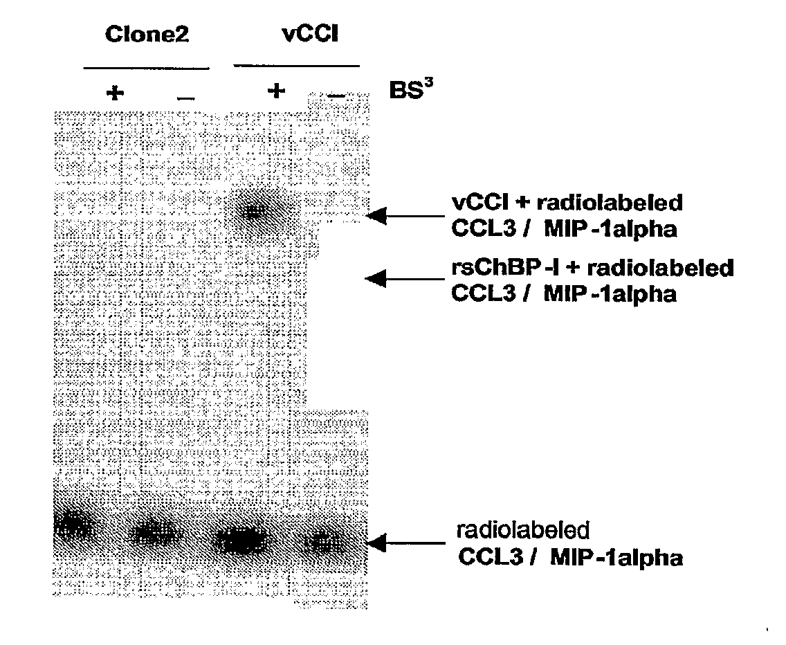 Cc-Chemokine Binding Tick Proteins