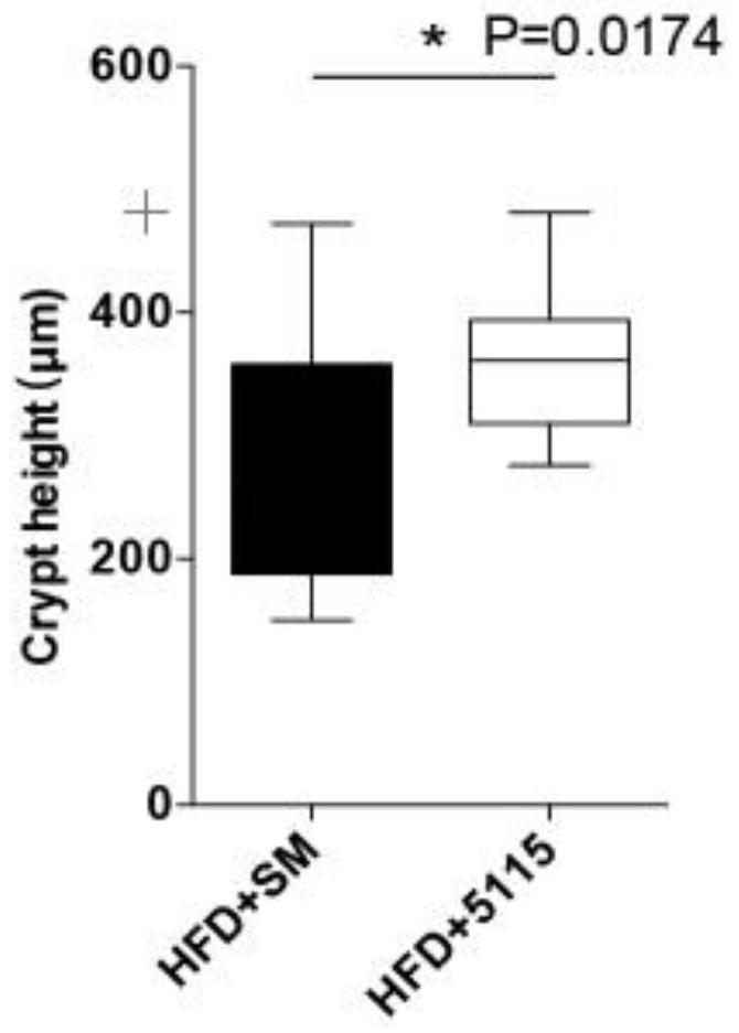 Lactobacillus paracasei fermented milk (powder), preparation method thereof and application of lactobacillus paracasei fermented milk (powder) in elimination of intestinal barrier damage