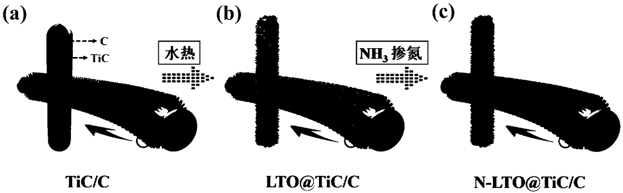 Titanium carbide/carbon core-shell nanowire array load nitrogen-doped lithium titanate composite material, preparation method and application thereof